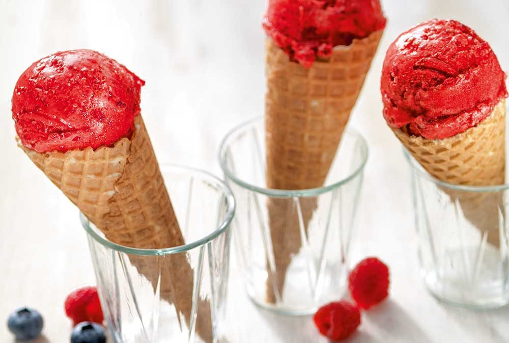 HELADO CREMOSO DE FRUTA (Fresas, Frambuesas, Duraznos, Damascos, Frutos Del Bosque, Mango, Etc.)